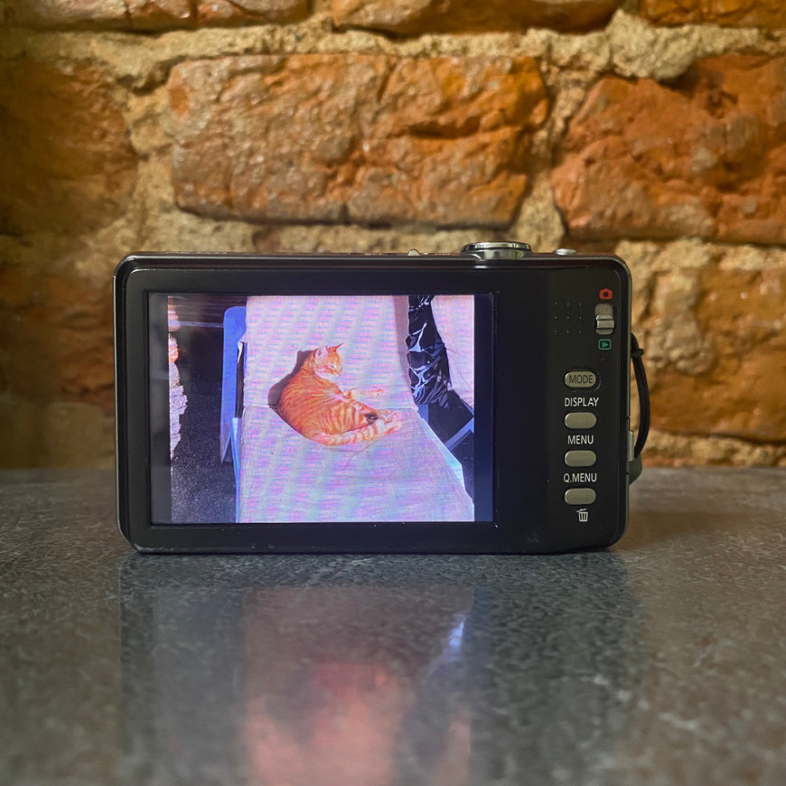 Panasonic Lumix DMC-FS33 серый цифровой фотоаппарат