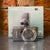 Canon IXUS 150 графит цифровой фотоаппарат в коробке