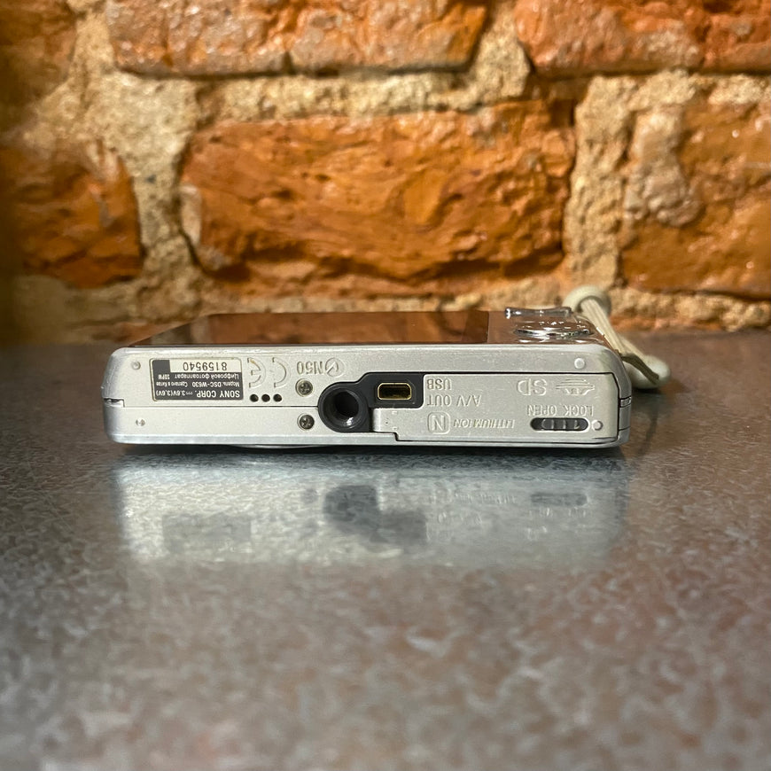 Sony Cyber-shot DSC-W630 серебро цифровой фотоаппарат
