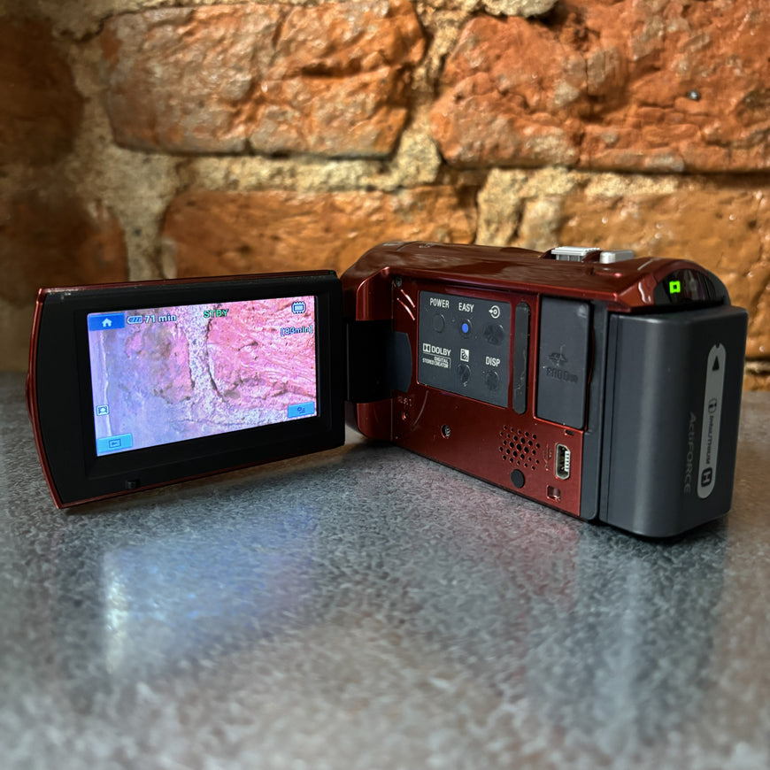 Sony DCR-SX40 красная цифровая видеокамера