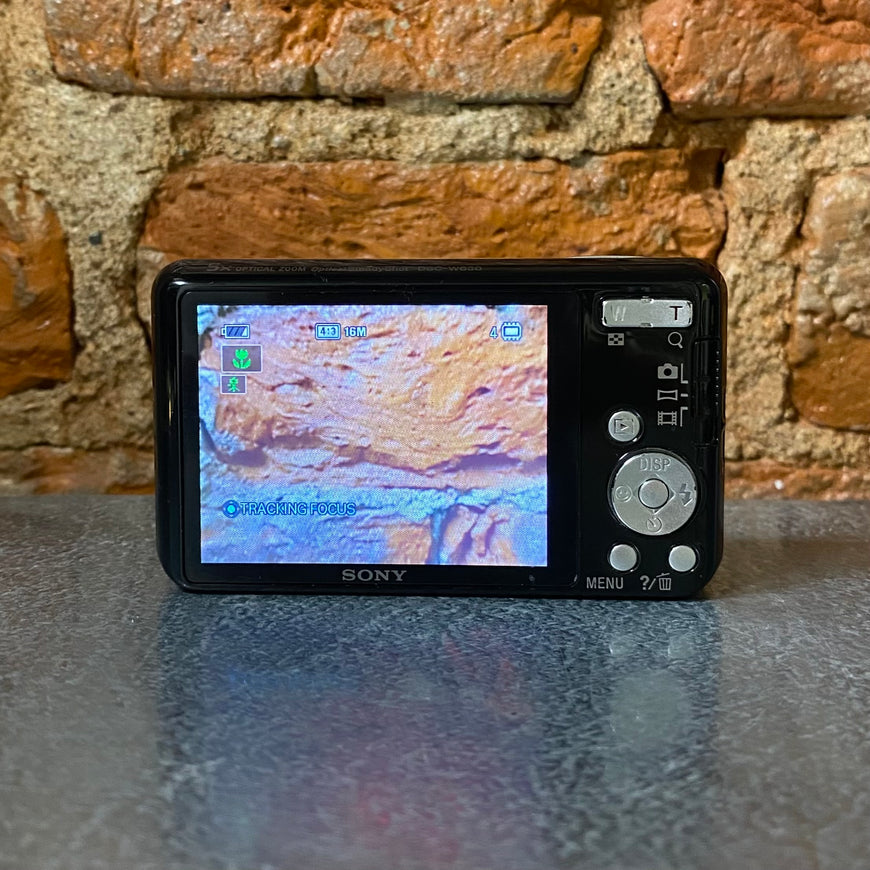 Sony Cyber-shot DSC-W630 черный цифровой фотоаппарат