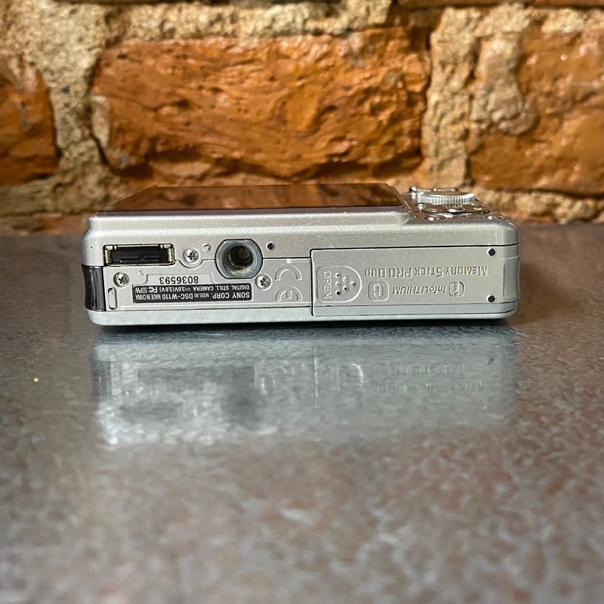 Sony Cyber-shot DSC-W110 серебряный цифровой фотоаппарат