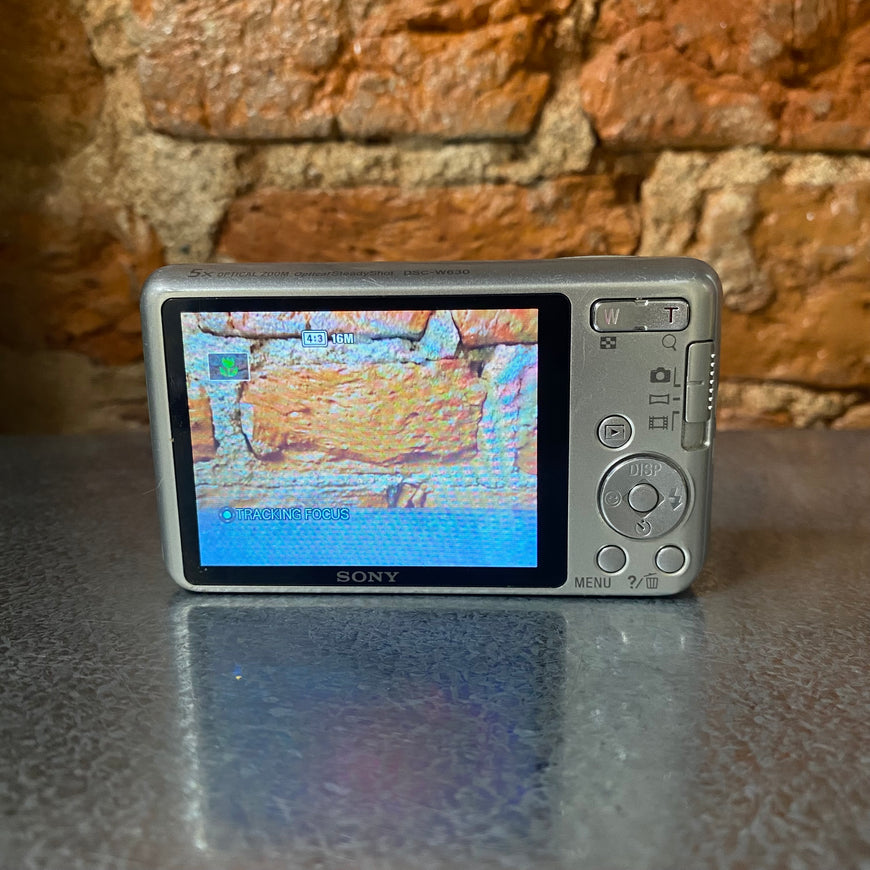 Sony Cyber-shot DSC-W630 серебро цифровой фотоаппарат
