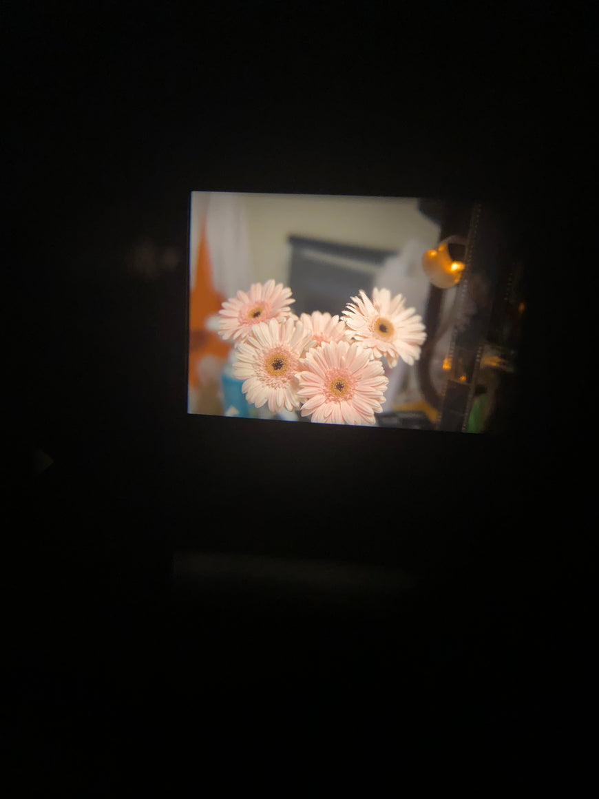 Canon A-1 50mm 1.4 зеркальный пленочный фотоаппарат