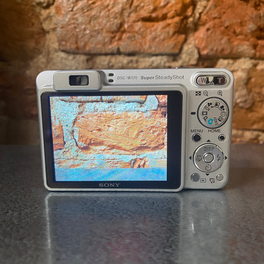 Sony Cyber-shot DSC-W170 серебро цифровой фотоаппарат