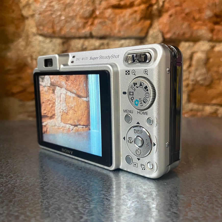 Sony Cyber-shot DSC-W170 серебро цифровой фотоаппарат