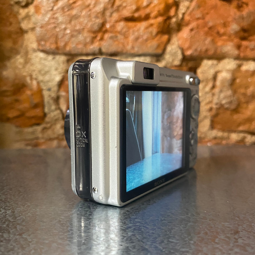 Sony Cyber-shot DSC-W170 серебро цифровой фотоаппарат