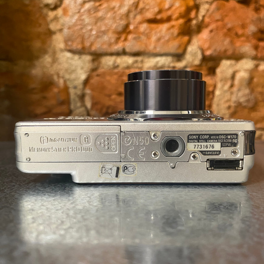 Sony Cyber-shot DSC-W170 серебро цифровой фотоаппарат