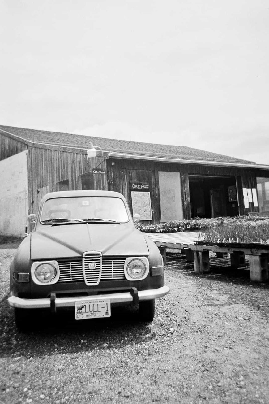 Одноразовый пленочный Harman Ilford XP2 Super 400